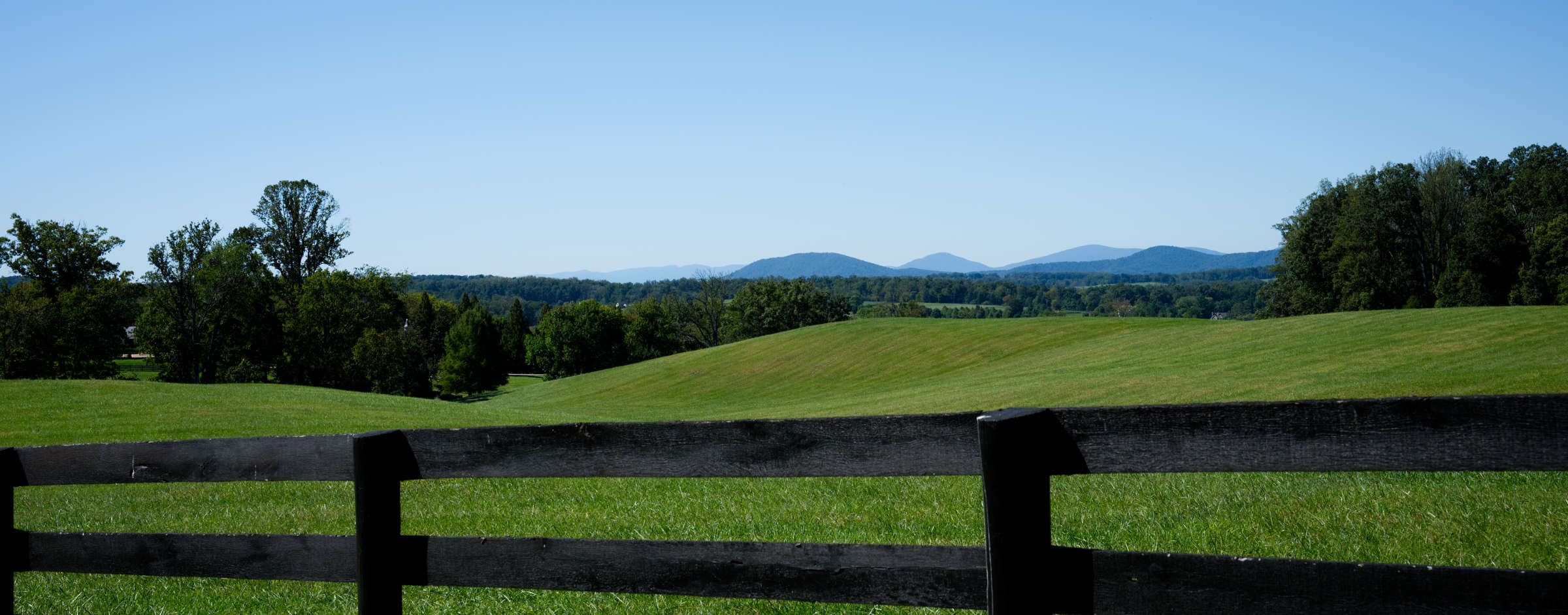 Rolling green pasture behind a black board fence, with the Blue Ridge Mountains on the horizon